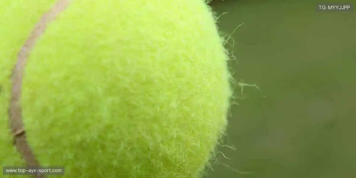 🚀 突破极限，超越自我，官网与你共赴体育新征程！