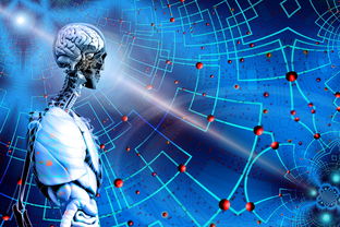 AYX体育官网-高校运动训练科学管理模式创新，科学的运动训练管理系统应包含哪些方面