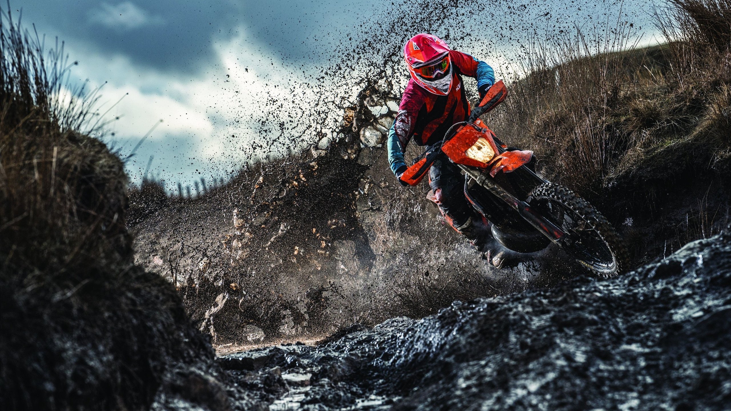 爱游戏登录入口-科技赋能赛事,湖滨赛场焕新体验,三文鱼吃多了胆固醇高吗