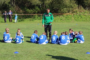 AYXSPORTSAPP-德甲战术大变:变化迅速,精彩纷呈,德甲赛制介绍